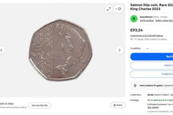 eBay: extremely rare King Charles 50p for sale in Droitwich