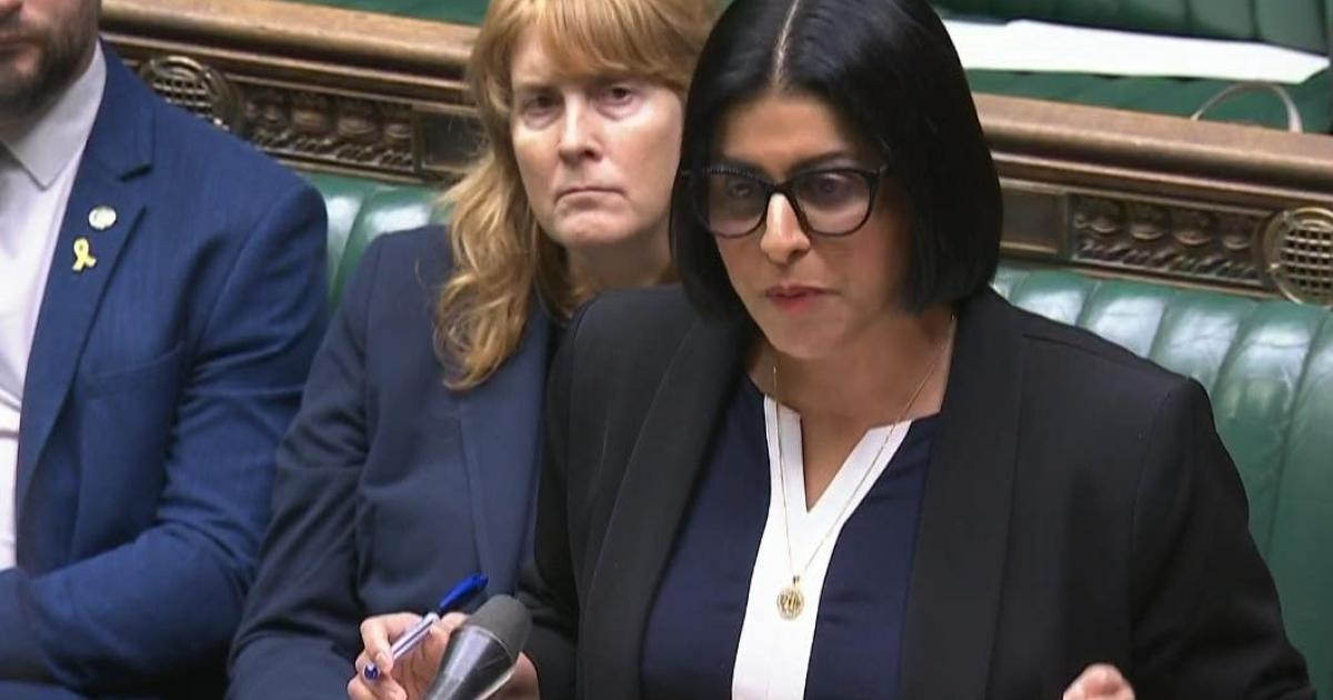 Cracking down on repeat protest means ‘giving succour to haters’ – MP