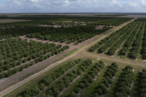 Punish Mexico for missing water deadline Punish Mexico for missing water deadline