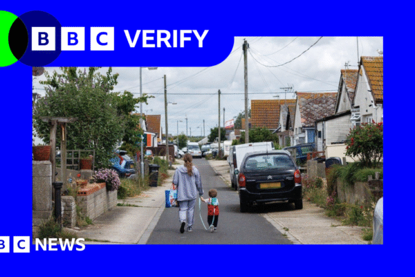 A photo of a woman and a young child walking down a residential street with cars parked on the pavement on either side. The street is lined with houses and overlooked by low telephone lines. The sky above is grey. The photo has a blue border with a green and blue BBC Verify logo in the top left corner.