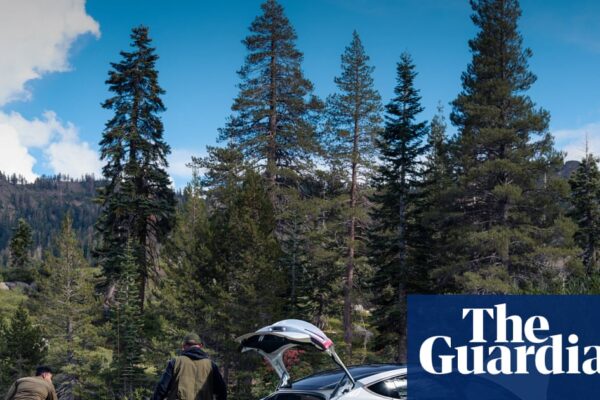 Tesla debuts ‘affordable’ Model Y and 3 that strike some as too expensive | US news