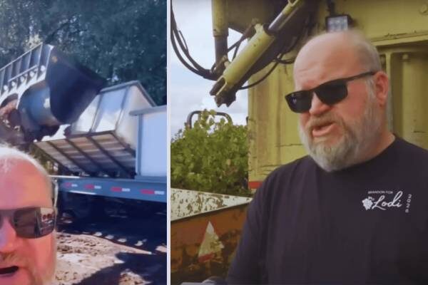 California farmer watches in pain as local winery dumps truckloads of his grapes. Why his only customer rejected him California farmer watches in pain as local winery dumps truckloads of his grapes. Why his only customer rejected him