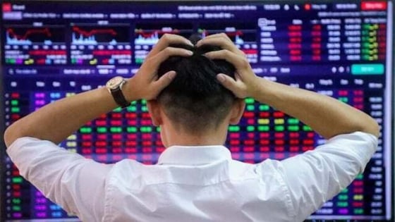 Vietnam's benchmark VN-Index records sharpest drop in 25-year history