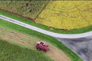 Maryland soybean farmers lose business from China amid trade war – NBC4 Washington