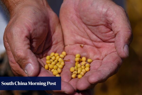Snubbed by China: Trump team presses unlikely buyers to snap up US soybeans