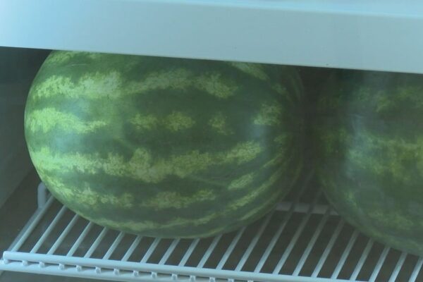 Missouri seeks to refocus SNAP benefits towards healthy eating