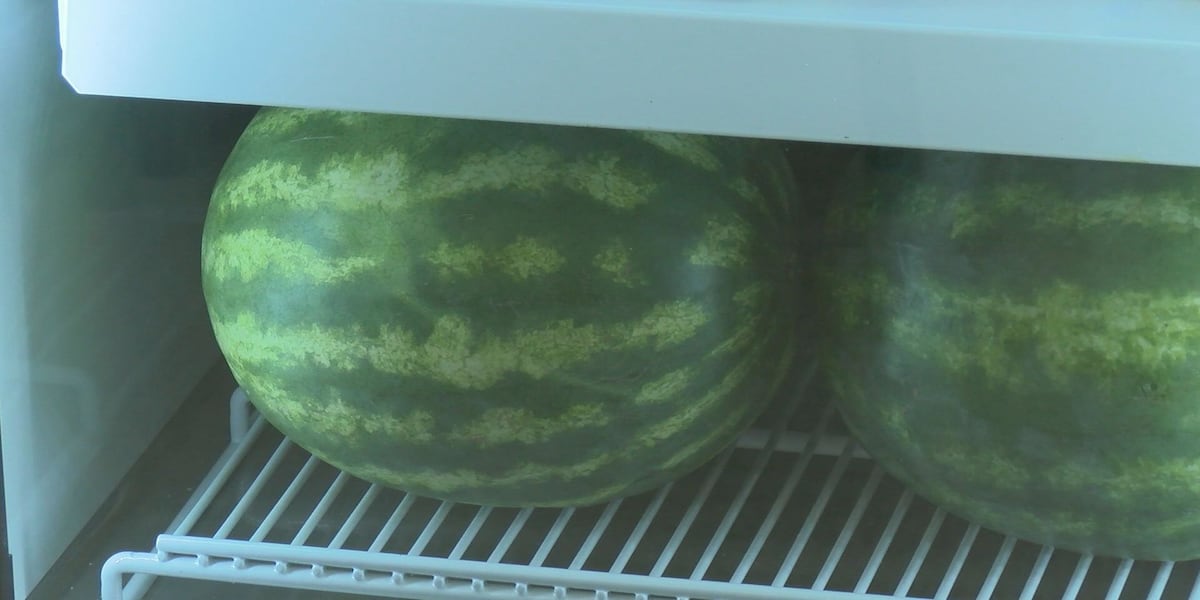 Missouri seeks to refocus SNAP benefits towards healthy eating