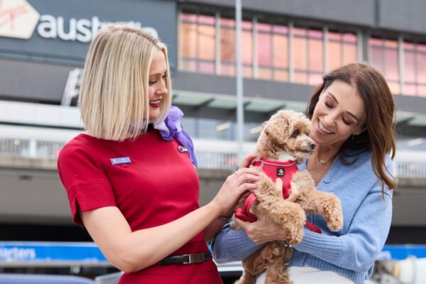 Virgin makes Australian aviation history as it welcomes cats and dogs on board Melbourne-Gold Coast flight ahead of expected national rollout