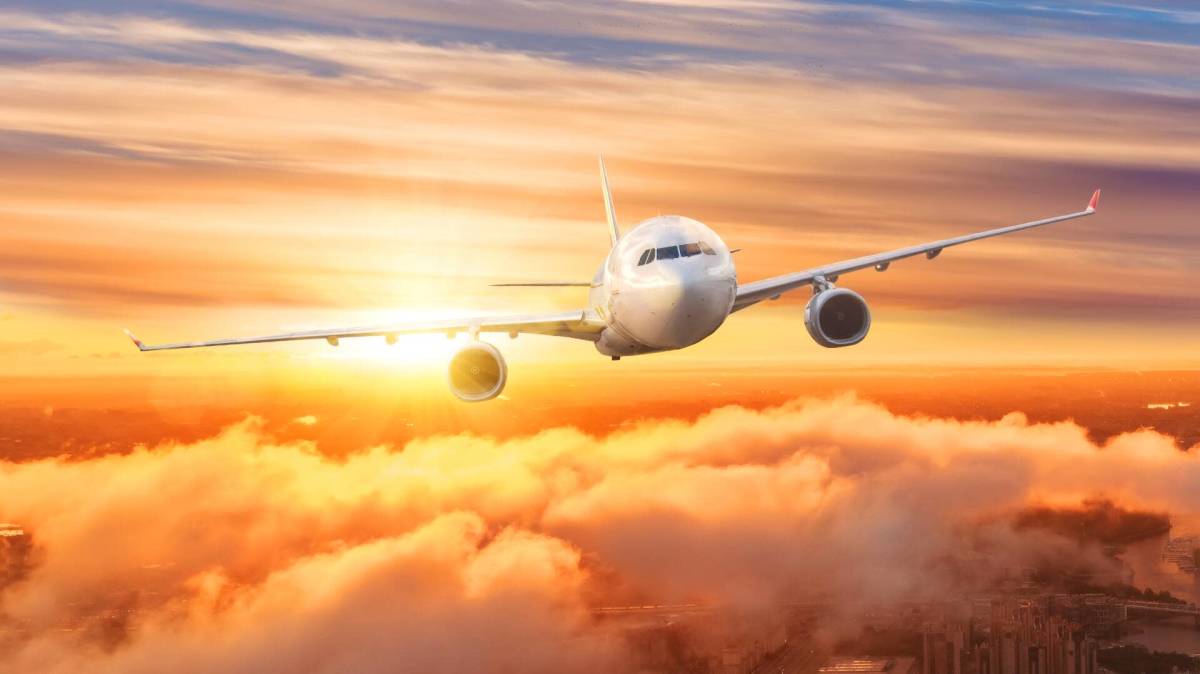 Another airline files for bankruptcy, cancels all flights