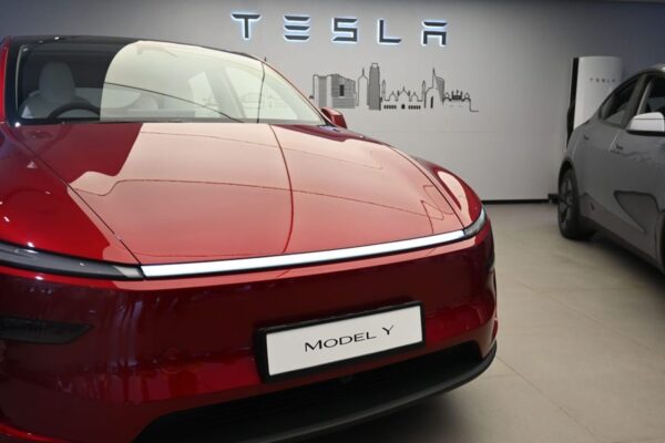 Tesla Ex-Global Sales Chief Says EV Market Can Grow Without Subsidies