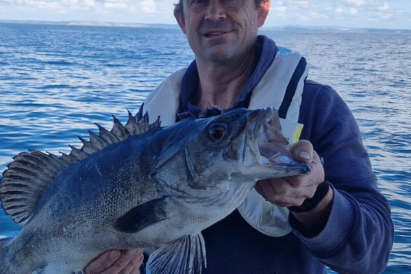 Fisherman catches extremely rare prehistoric fish off UK coast | National