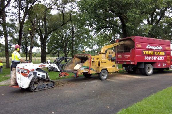 The Ties that Bind Us: Local tree companies give Delaware veterans cemetery a makeover | News