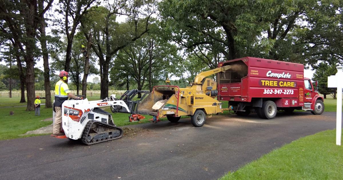 The Ties that Bind Us: Local tree companies give Delaware veterans cemetery a makeover | News
