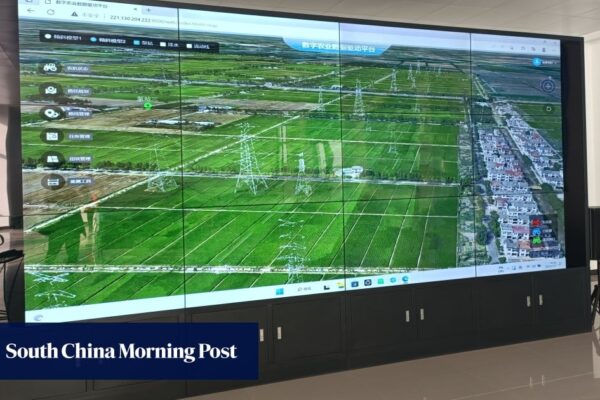 Not farming like grandparents: how Shanghai’s success in hi-tech agriculture sets example