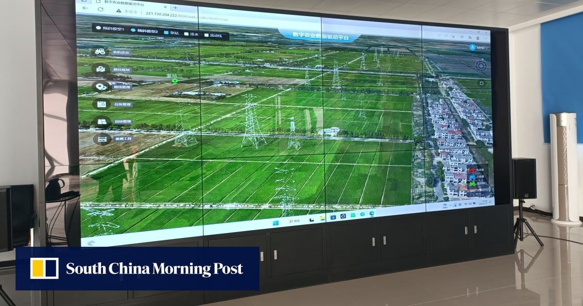 Not farming like grandparents: how Shanghai’s success in hi-tech agriculture sets example