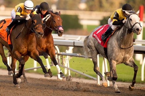 Clement, West Point Sweep Top Spots in Ontario Fashion