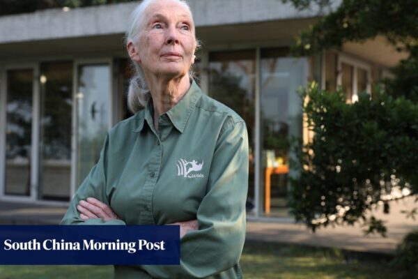 Hong Kong remembers late wildlife advocate Jane Goodall: ‘meeting a giant’