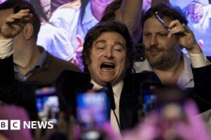 Javier Milei and his ‘chainsaw’ austerity win big Javier Milei and his 'chainsaw' austerity win big