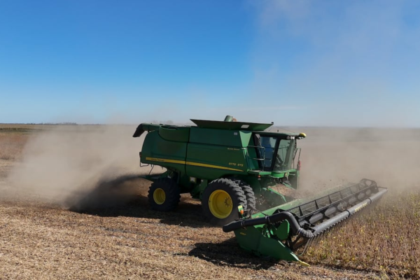 US-China trade war could force soybean farmers to sell crops at a loss