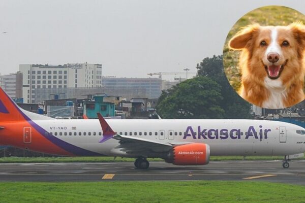Pet Parents Rejoice! Akasa Air Upgrades Its ‘Pets On Akasa’ Service; All You Need To Know