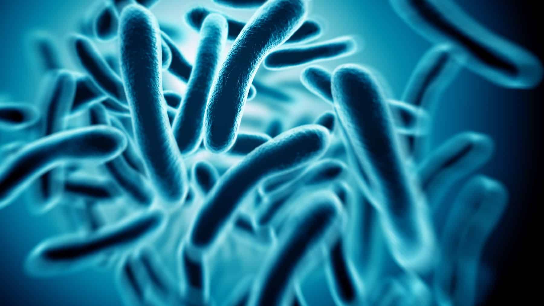 China lithium bacteria