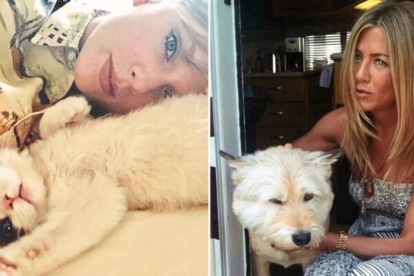 Taylor Swift, Jennifer Aniston and More Celebrities Who Adopted Their Animal Costars – National Examiner Taylor Swift, Jennifer Aniston and More Celebrities Who Adopted Their Animal Costars – National Examiner