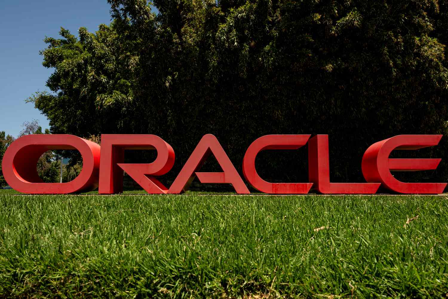 Amex Stock Hits Record High; Oracle and Newmont Plunge