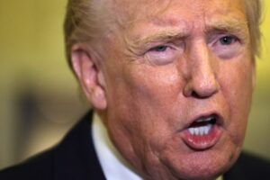 Stock traders are delighted at the prospect of Trump losing his tariff war 