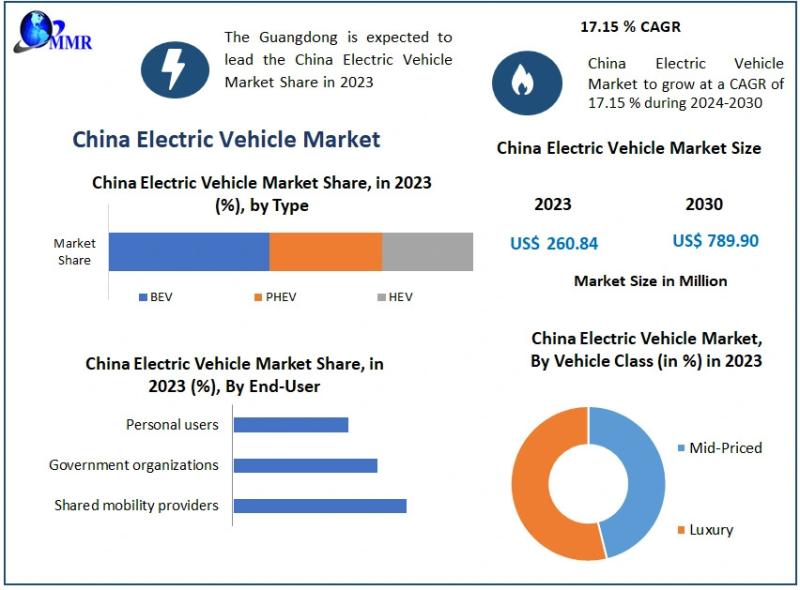 China Electric Vehicle Market