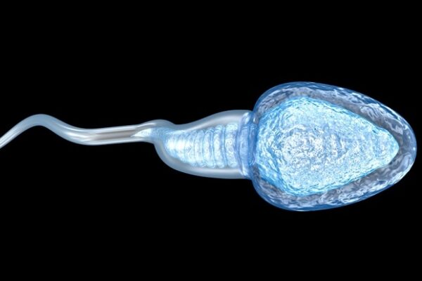 Lifestyle choices and hormonal imbalances can impact men’s reproductive health Lifestyle choices and hormonal imbalances can impact men's reproductive health