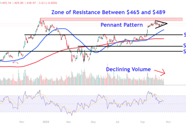 Watch These Tesla Price Levels as Stock Skids After Earnings Miss