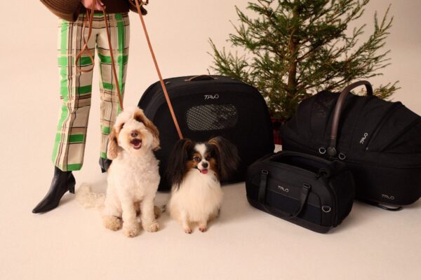 Tavo Pets unveils innovations for safer, stylish pet travel
