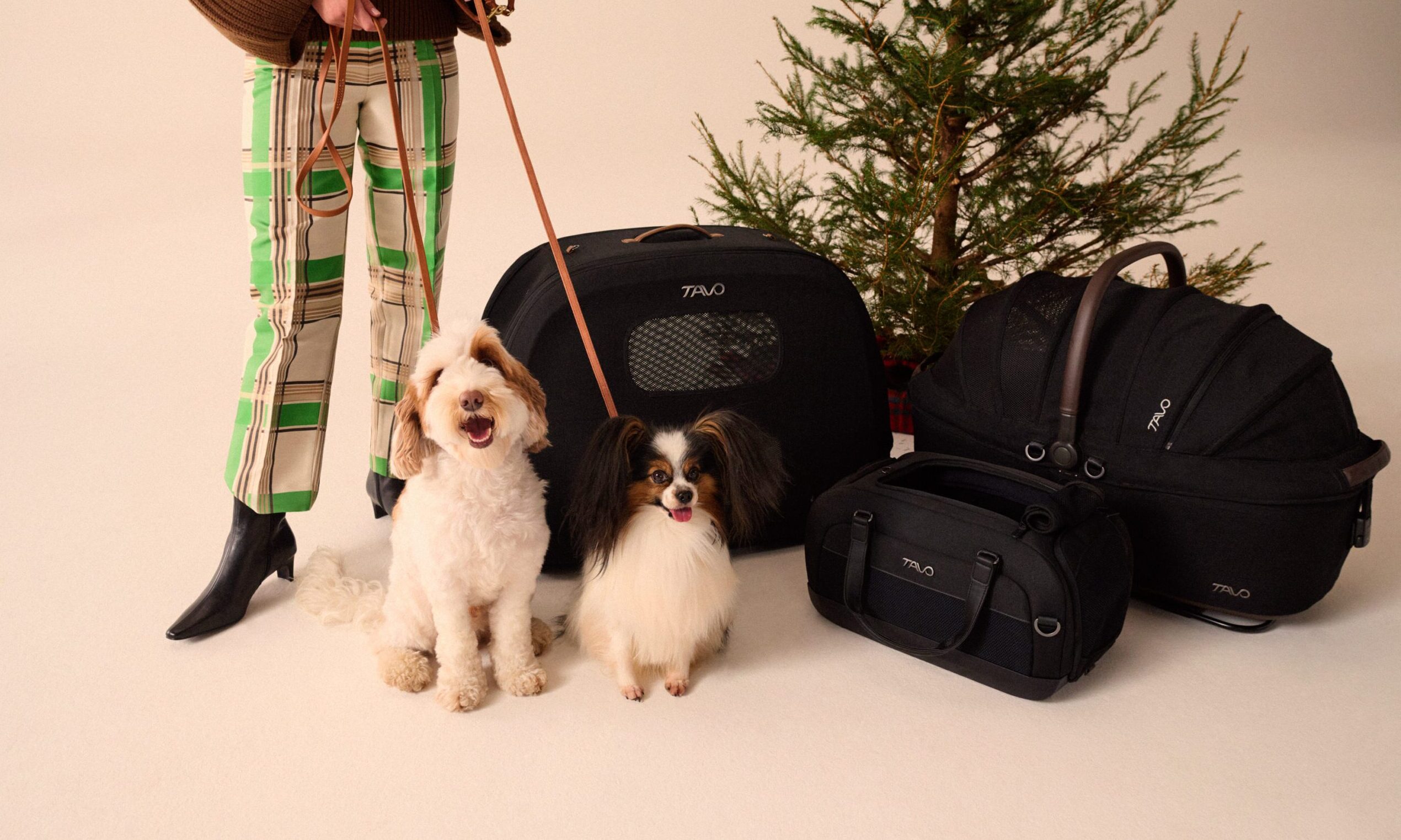 Tavo Pets unveils innovations for safer, stylish pet travel