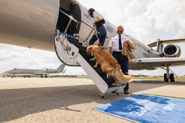 Dogs are welcomed aboard Bark Airlines.
