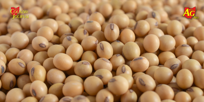 Trump says soybeans will be key topic in China talks