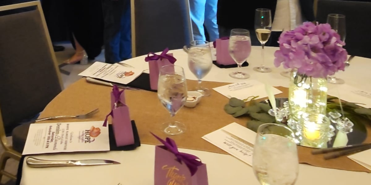 Denim and Diamonds brings fashion and fundraising to Bradenton