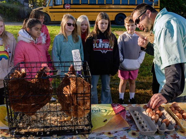 Farmers' market teaches children about produce, healthy eating