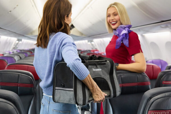 Virgin Australia permits small pets in the cabin on select flightsRunway Girl
