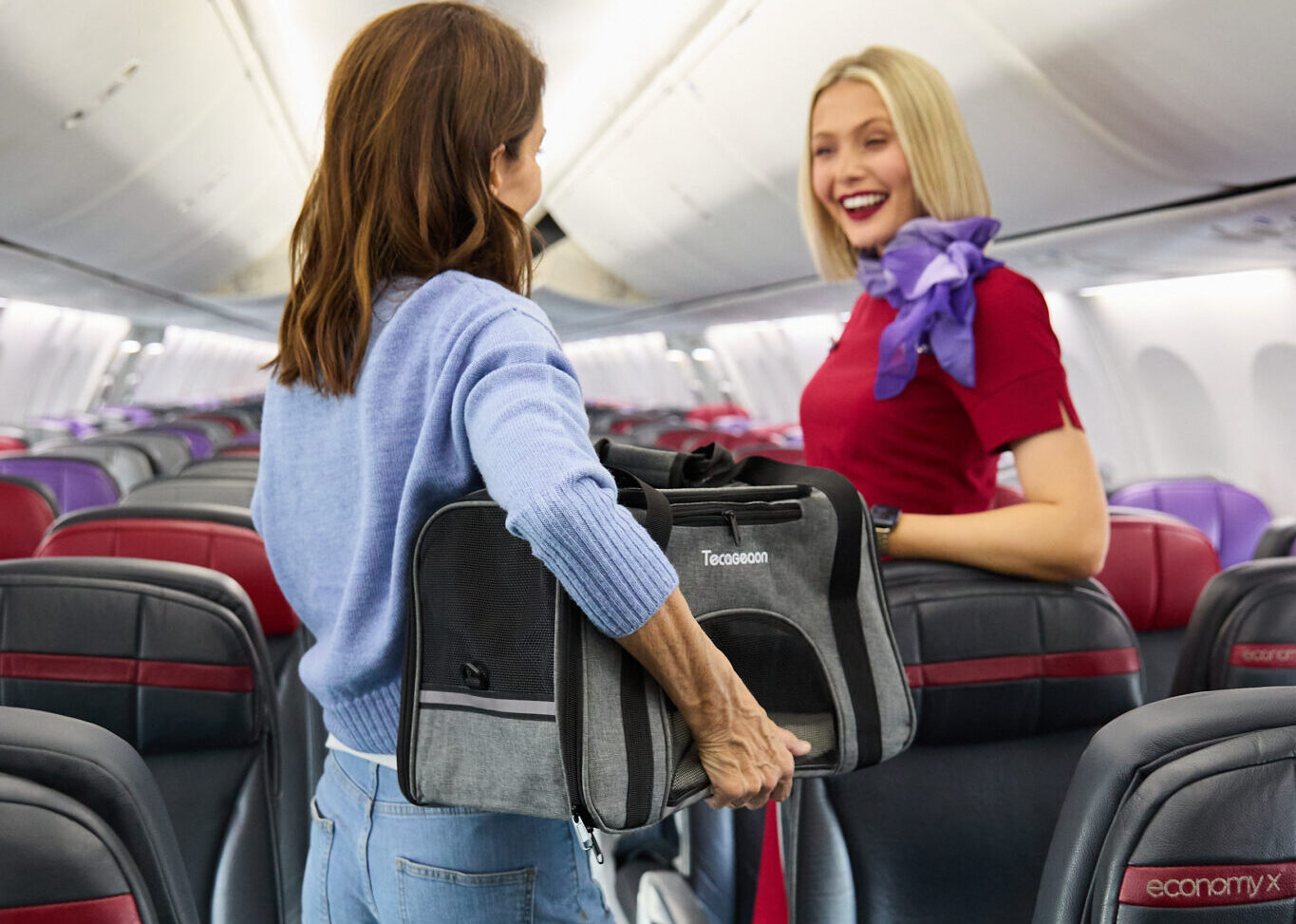 Virgin Australia permits small pets in the cabin on select flightsRunway Girl