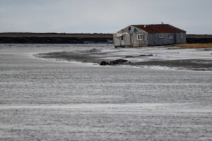 Alaska Federation of Natives calls for emergency declaration from Trump in wake of typhoon disaster