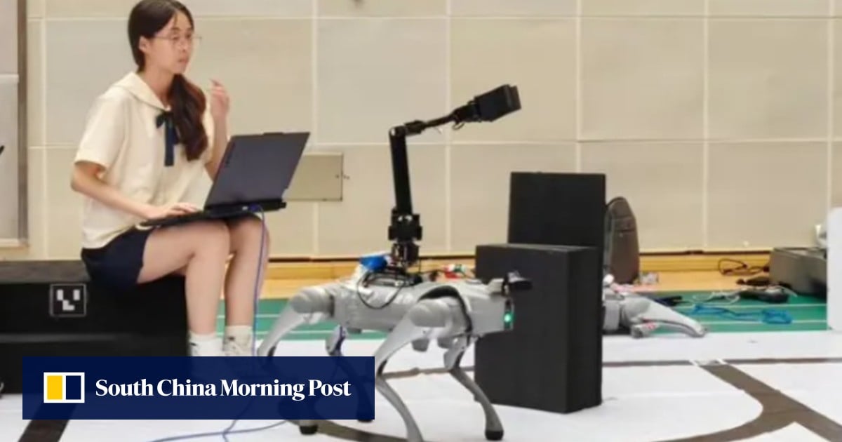 China’s Unitree builds course for students to learn how to train, understand robot dogs