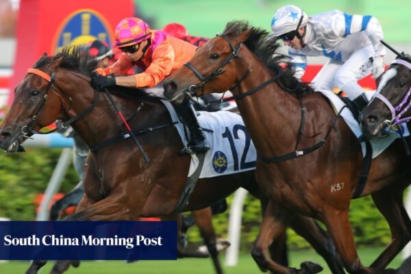 Hong Kong marks National Day with fireworks, naval ship tours and horse races Hong Kong marks National Day with fireworks, naval ship tours and horse races