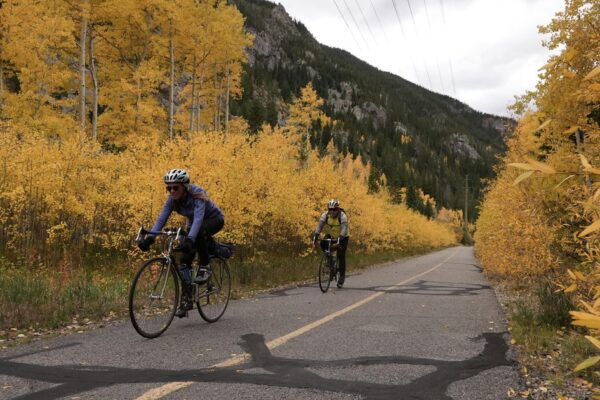 Fall foliage colors muted in several regions due to drought Fall foliage colors muted in several regions due to drought