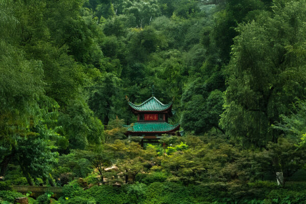 The Cathay Group further strengthens its Chinese Mainland network with the announcement of daily non-stop flights between Hong Kong and Changsha