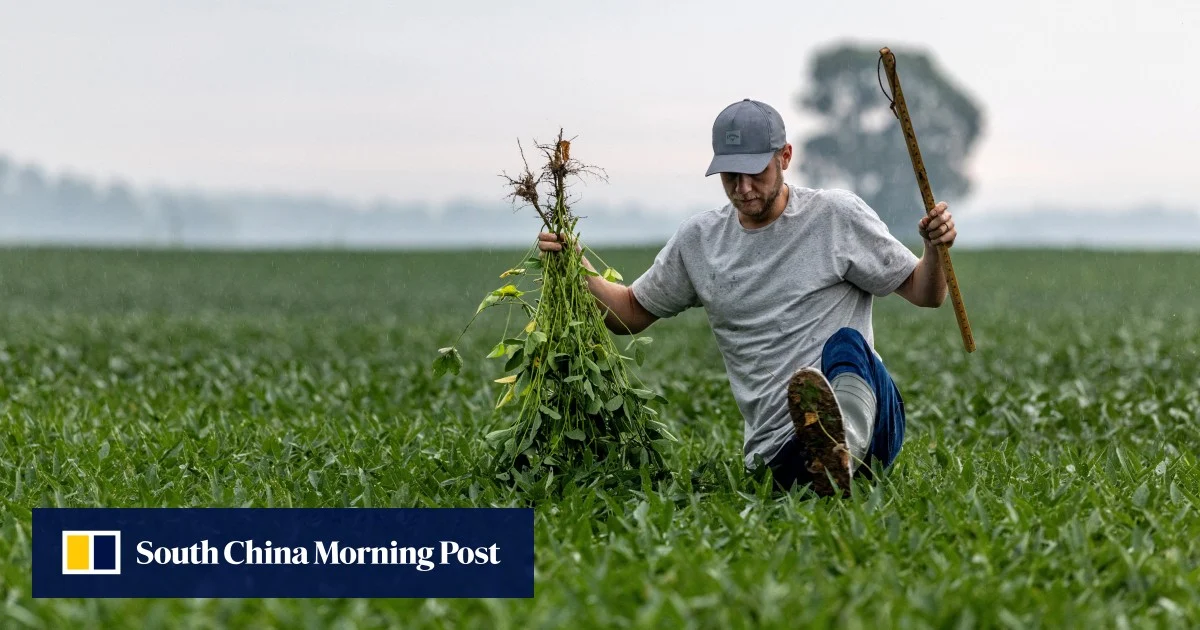 US soybean farmers urge Trump to ‘choose partnership, not pressure’ ahead of Xi meeting