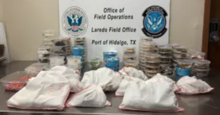 Pythons, tarantulas among 163 exotic creatures seized from Toyota truck at U.S.-Mexico border