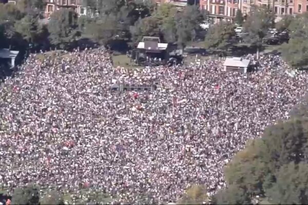 MSNBC Boston ‘No Kings’ footage. Was it real or fake? – NBC Boston