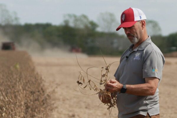 Soybean farmer who backed Trump feels strain of China's boycott amid trade war