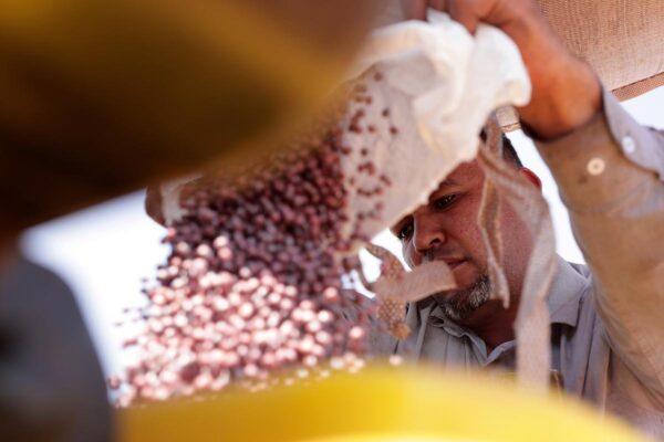 Brazilian farmers beef up soybean production as China halts business with US during trade fight Brazilian farmers beef up soybean production as China halts business with US during trade fight