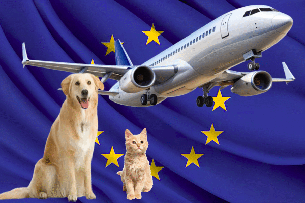 Dogs and cats as luggage, clarification by U Court of Justice on pets on aeroplanes